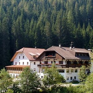 Hotel Bad Bergfall